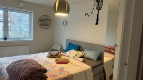 Nice Room